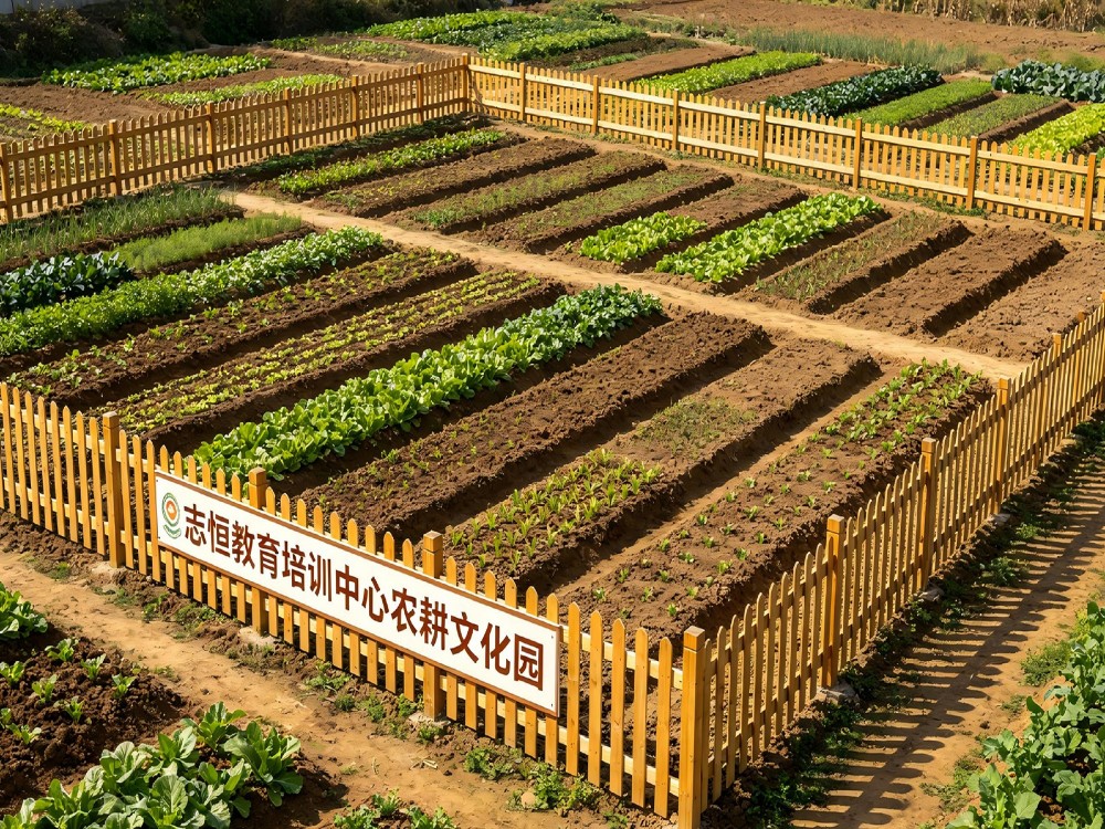 马鞍山叛逆孩子教育学校怎么选?这份择校指南请收好